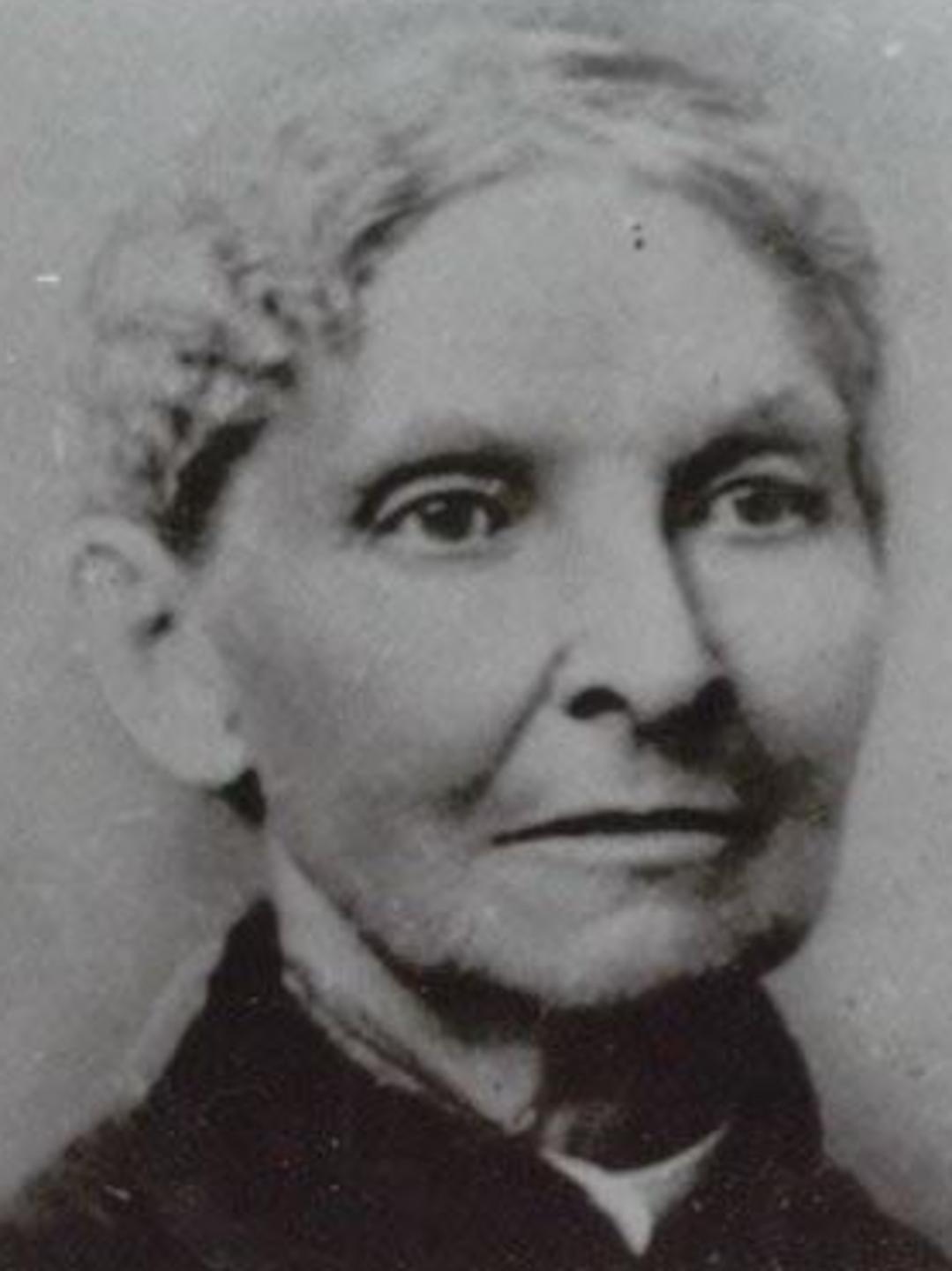 Elizabeth Story Depuy (1825 - 1908) Profile